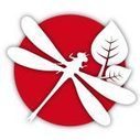 La Liste rouge mondiale des espèces menacées | Insect Archive | Scoop.it