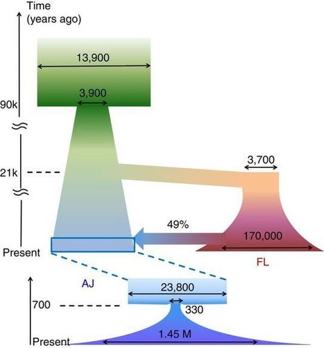All Ashkenazi Jews alive today can trace their roots to a group of just 350 people who lived 600 to 800 years ago | Amazing Science | Scoop.it