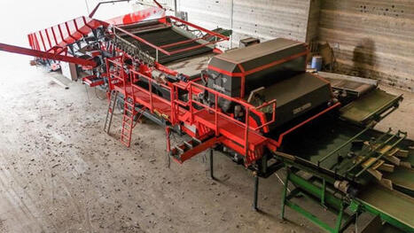 Downs lance le tri optique assist&eacute; par l&rsquo;IA pour les betteraves rouges non lav&eacute;es - Agri mutuel | Pour innover en agriculture | Scoop.it