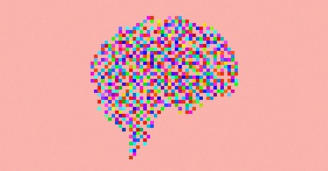 Your Brain Doesn't Contain Memories. It Is Memories | Coaching & Neuroscience | Scoop.it
