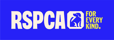 Thousands of pet owners will honour past pets | Grief & Bereavement Counseling | Scoop.it