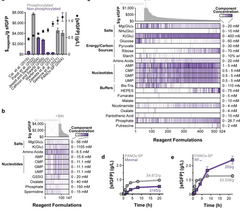 Design-driven optimization of low-cost reagent ...