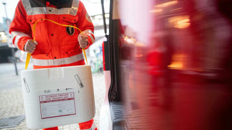 „Es kann jeden treffen“: Tausende warten auf Organspende in Berlin und Brandenburg | Kompass-Aktuell | Scoop.it