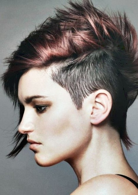 Punk Hairstyles For Women Hairstyle Ideas H