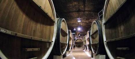 La France n'a plus la cote sur le march&eacute; mondial du vin | Une &eacute;conomie politique | Scoop.it