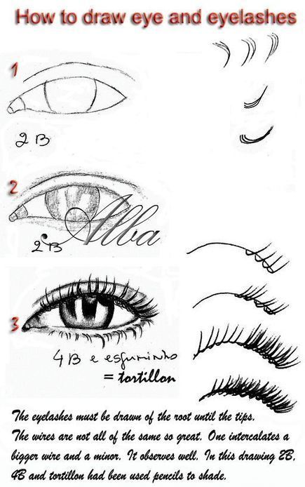 Eye And Eyelashes Drawing Reference Guide | Drawing References and Resources | Scoop.it