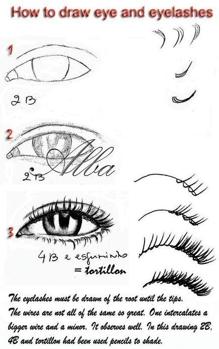 Tutorial of drawing human eye. Eye in anime style. female eyelashes