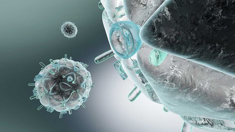 Sida : des chercheurs sont parvenus à bloquer le virus  | sida | Scoop.it