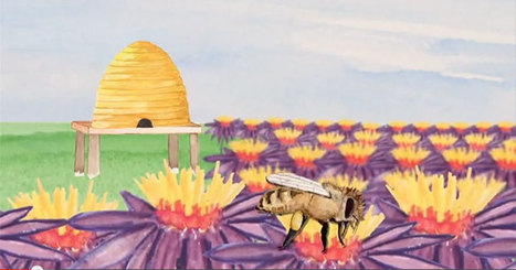 Les robots à la rescousse des abeilles et de l’humanité | EntomoNews | Scoop.it