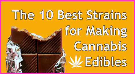 The 10 Best Strains for Making Cannabis Edibles | Cannabis.Net | Scoop.it