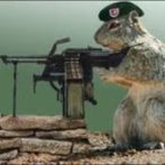 The Last Game - Chesapeake Airsoft Association | Thumpy's 3D Airsoft & MilSim EVENTS NEWS ™ | Scoop.it