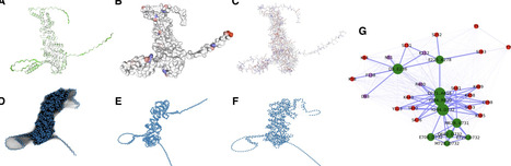 ProCaliper: functional and structural analysis, visualization, and annotation of proteins | bft | RMH | Scoop.it