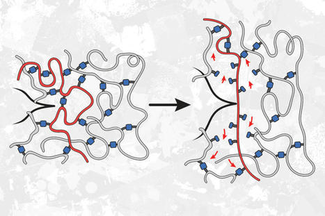 Researchers Find Unusual Way of Strengthening Polymer Bonds | 3DM-Shop news | Scoop.it