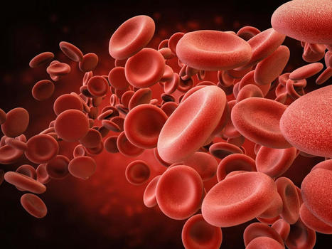 Lab-Grown Red Blood Cells May Soon Be Available For Safe Transfusions | Hematology | Scoop.it