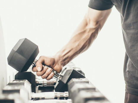 Fitness: Is there an express route to building muscle? | The Health Report | Scoop.it