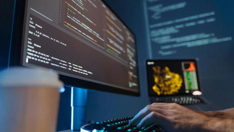 The Security and Productivity Implications of Low Code/No Code Development | Bridging the Gaps | Scoop.it