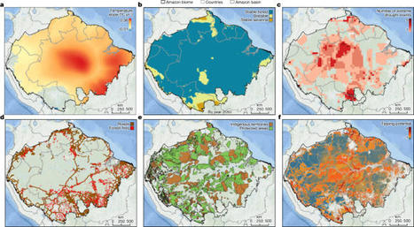 Critical transitions in the Amazon forest system | Rainforest CLASSROOM | Scoop.it