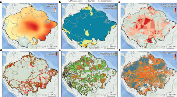 Critical transitions in the Amazon forest syste...