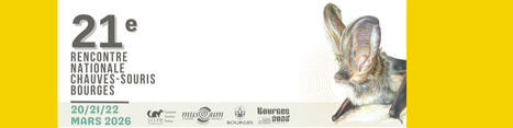 Rencontres nationales Chauves-souris 2026 - SFEPM | Biodiversité | Scoop.it