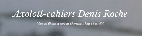 (Sites) "Barthes, le patron", publication du site d&eacute;di&eacute; &agrave; Denis Roche, Axolotl | Poezibao | Scoop.it