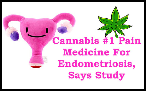 Cannabis #1 Pain Medicine For Endometriosis Says Study | Cannabis.Net | Scoop.it