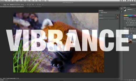 Making a Vibrance Adjustment @ Weeder | Photo Editing Software and Applications | Scoop.it