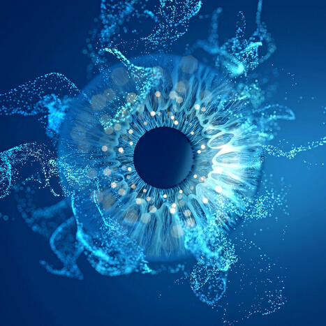 Managing the risks around generative AI | Digital Transformation Leadership | Scoop.it