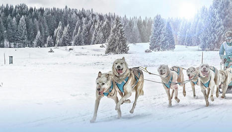 Des balades en chiens de traîneau à Luz Ardiden | Luz Tourisme | Scoop.it