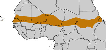 Sahel africain | Les déserts dans le monde | Scoop.it