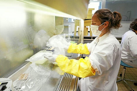 Dans les Côtes-d’Armor, un laboratoire vigie de l’influenza aviaire en France | Revue de presse du Centre de doc | Scoop.it