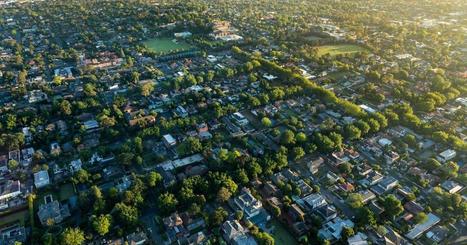 One million urban trees | Pursuit by The University of Melbourne | Stage 5  Changing Places | Scoop.it