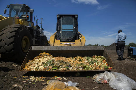 Le (gros) probl&egrave;me du gaspillage alimentaire au Qu&eacute;bec | ECONOMIE CIRCULAIRE, ECONOMIE DE LA FONCTIONNALITE | Scoop.it
