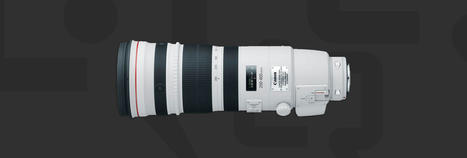 Canon RF 200-500mm f/4L IS USM delayed until the second half of 2024 | Photography Gear News | Scoop.it