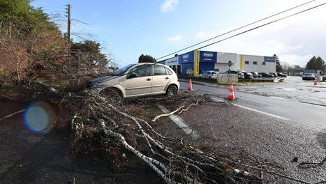 Actualit&eacute;s Juillan | Accueil | Scoop.it