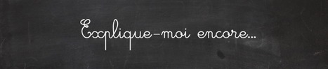 De courtes vid&eacute;ographies pour expliquer un point de grammaire ... | TICE et langues | Scoop.it