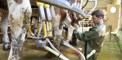 Union européenne : Le prix du lait recule, celui du beurre s’envole | Economie de l'Elevage | Scoop.it