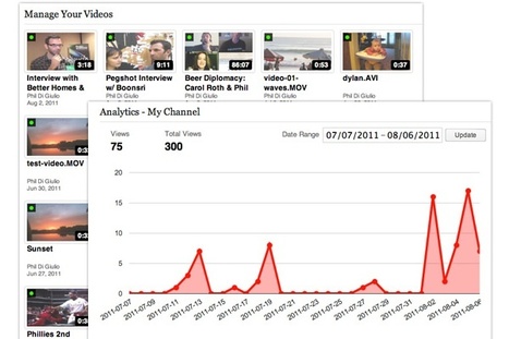 New Video Hosting Platform Caters To Publishers Wanting To Create Custom Video Sites | Online Video Publishing | Scoop.it