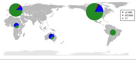 PLoS Pathogens: The Plant Pathogen Pseudomonas syringae pv. tomato Is Genetically Monomorphic and under Strong Selection to Evade Tomato Immunity | Plant Pathogenomics | Scoop.it