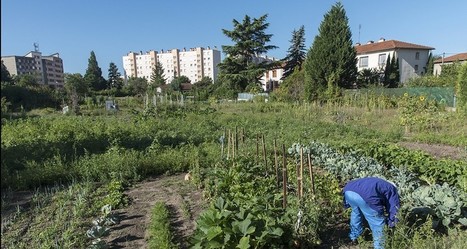 Les nouveaux terrains de jeu de l'agriculture urbaine | ESPACES VEGETALISES URBAINS | Scoop.it