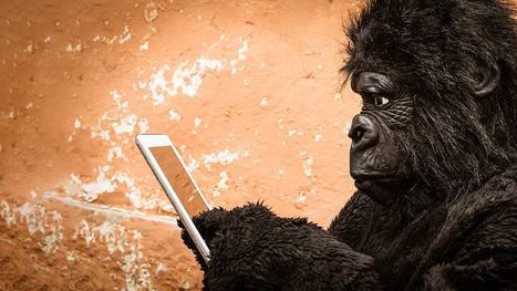 Evolve Or Die: Why Digital Transformation Is More Important Than Ever - Brand Quarterly | OnMarketing: Marketing Tips for Growth | Scoop.it