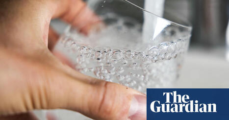 Anglian Water fined record £1.42m for contaminating water supply | Water industry | The Guardian | Microeconomics: IB Economics | Scoop.it