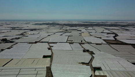 Les agriculteurs europ&eacute;ens face &agrave; la s&eacute;cheresse : &eacute;pisode 3/4 du podcast Acc&egrave;s &agrave; l&rsquo;eau, un d&eacute;fi mondial - Radio France | Pour innover en agriculture | Scoop.it