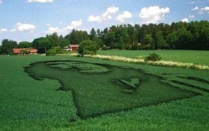 L’écologie totalitaire | Objection de croissance | Scoop.it