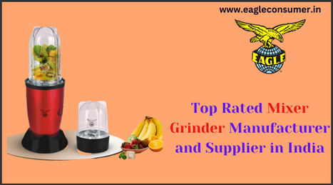 Efficient Eagle ELITE Bullet Mixer Grinder - Perfect for Daily Use | Eagle Consumer Products | Scoop.it