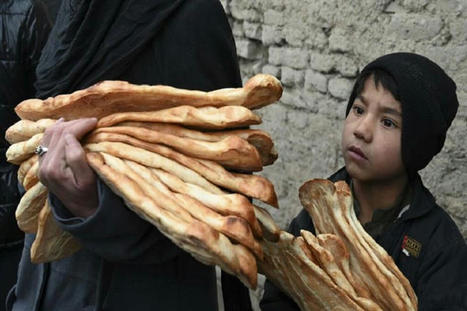 EGYPT : International agencies call for urgent aid to address FOOD INSECURITY - Humanitarian - War in Ukraine | CIHEAM Press Review | Scoop.it