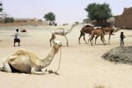 Le Mali veut relancer le tourisme après des pertes financières ... - AFP | Revue de presse "Afrique" | Scoop.it
