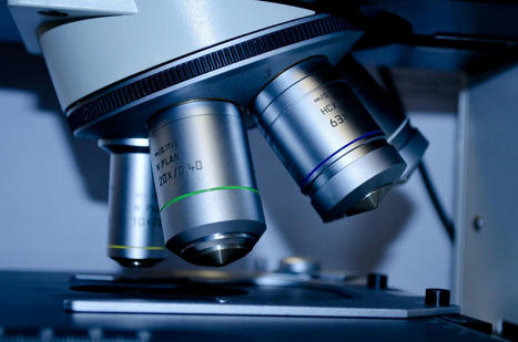 BSH Haematology Taster Day | British Society for Haematology | Hematology | Scoop.it