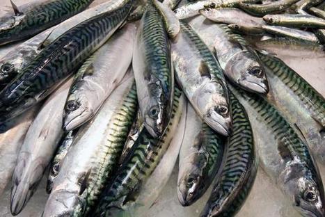 Revealed: Which professions drink the most? | In the news: data in the UK Data Service collection across the web | Scoop.it