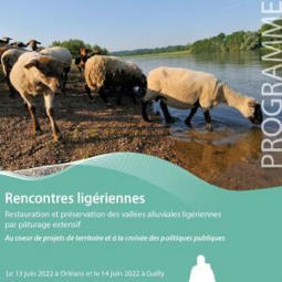 Restauration et préservation des vallées alluviales ligériennes par pâturage extensif - Centre de Ressources Loire Nature | Biodiversité | Scoop.it