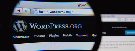 If You Use WordPress, You Need to Know About This Button | e-commerce & social media | Scoop.it